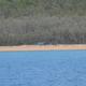Baden auf Fraser Island in Australien?