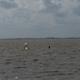 Kitesurfen - wo ist das am besten zu lernen?