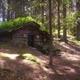 Mountainbiken in Schweden, wo findet man gute Trails?