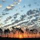 Reise durch Australien - Highlights?