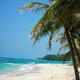 Gibt es in Port Antonio auf Jamaika eine schöne Unterkunft direkt am Strand?
