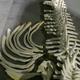 Wal-Museum auf Nantucket Island in den USA?