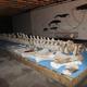 Wal-Museum auf Nantucket Island in den USA?