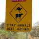 Wo sehe ich australiens typische Flora und Fauna?