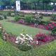 Gibt es einen Rosengarten in Barcelona?