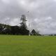 Maoris in Neuseeland erleben?