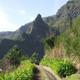 Madeira oder La Palma vor Weihnachten: wo liegen die pros und contras für einen Aktivurlaub?