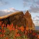 Madeira oder La Palma vor Weihnachten: wo liegen die pros und contras für einen Aktivurlaub?