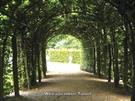 Potsdam und Sanssouci