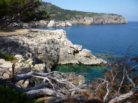 Küste zwischen Puerto Soller und Deya - (Spanien, Mallorca, Balearen)