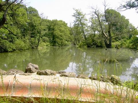 Radweg nach Wörlitz - (Deutschland, Park, Garten)