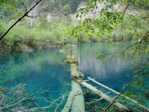 Jiuzhaigou NP - (China, Chengdu, Sichuan)