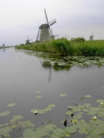 - (Niederlande, Holland, Windmühle)