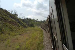 mit der Eisenbahn durch den Regenwald in Gabun - (Afrika, Tiere, Gabun)