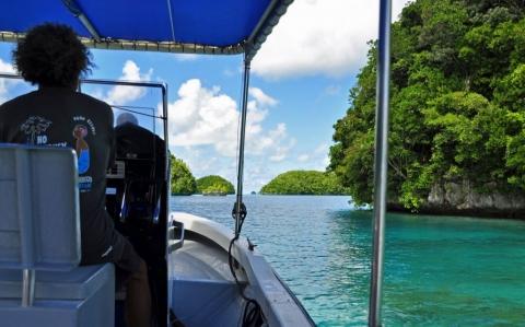Palau / Mikronesien - (Meer, Tauchen, Ort)