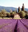 - (Europa, Italien, Reiseziel)