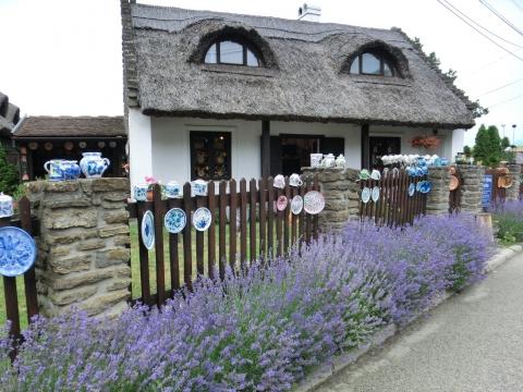 Lavendelblüte auf Tihany - (Europa, Reiseziel, besonders)