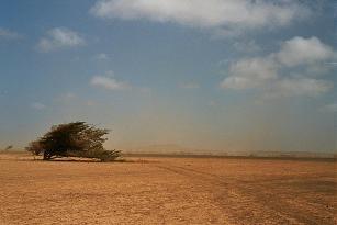 CV Sal, Sandwolke bei Espargos - (Urlaub, Afrika, Visum)