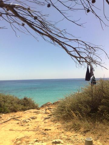Strand Mallorca/ NO - (Europa, Spanien, Mallorca)