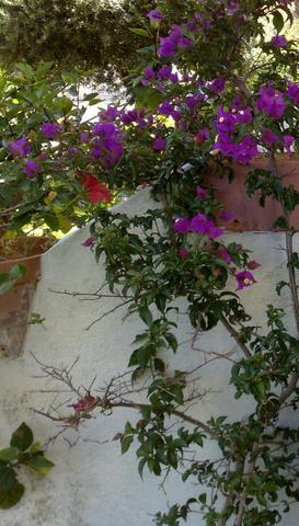 Terrasse in Spanien - (Reise, Urlaub, online)