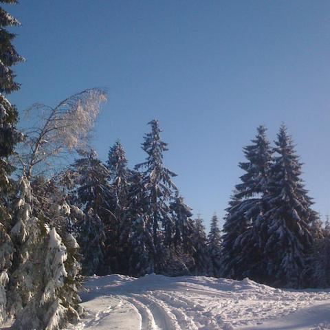 Schwarzwald Westweg - (Europa, Wintersport, Februar)