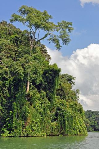 Gatúnsee, Panama - (Sehenswürdigkeiten, Südamerika, Stadt)