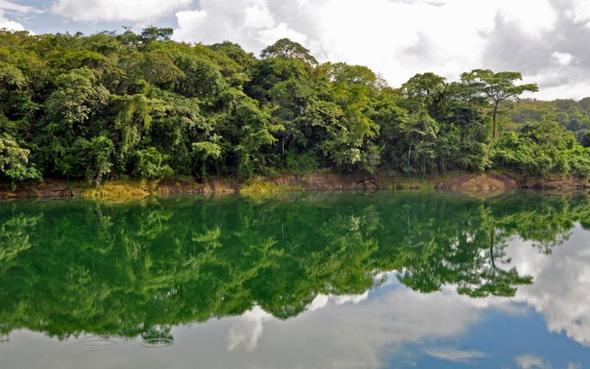 Ein Stausee vom Panama Kanal, Panama - (Sehenswürdigkeiten, Südamerika, Stadt)