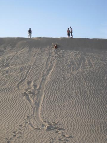 Sich aufs Brett zu legen macht noch viel mehr Spaß, als auf dem Brett zu stehen und wirklich zu boarden. - (Sand, Sandboarden, Boarden)
