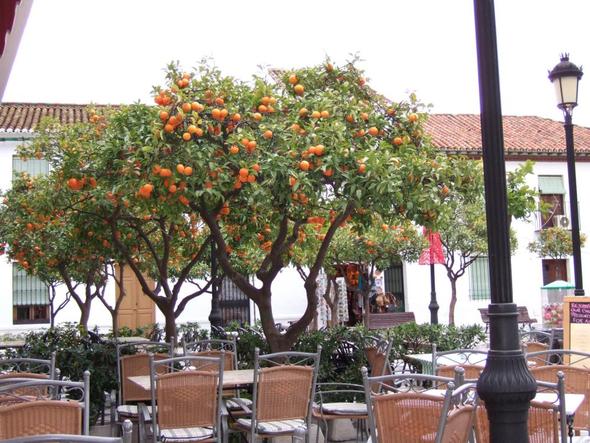 Benalmadena - (Spanien, Mittelalter, kleine Städte)