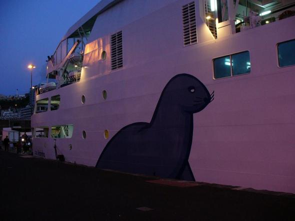 Die "Lobo Marinho" aus der Nähe - (Insel, Empfehlung, Portugal)