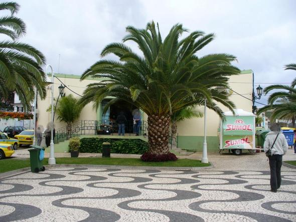 Mercado Municipal in Santa Cruz - (Insel, Winter, Portugal)