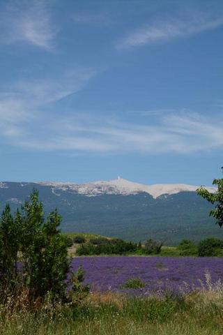 Mont Ventoux - (Frankreich, Rundreise, Mietwagen)