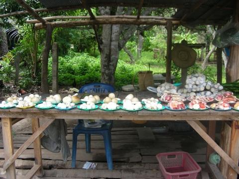 Pilzhändler CNX - (Thailand, Rundreise, Chiang Mai)