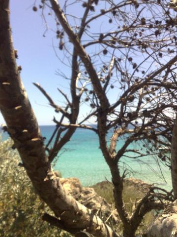 - (Spanien, Mallorca, Motorrad)