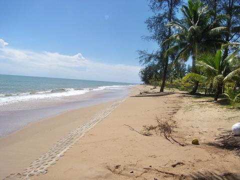 dlx-room - (Reise, Asien, Thailand)