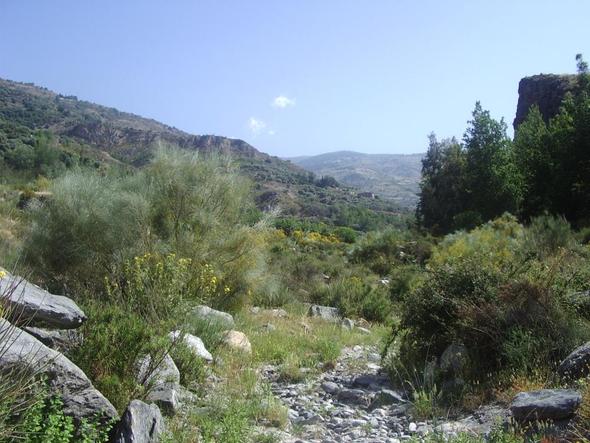 Alpujarras - (Spanien, Tagesausflug, Wanderung)