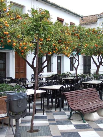 weißes Dorf - (Spanien, Tagesausflug, Wanderung)