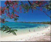  - (Mauritius, Seychellen, Inselurlaub)