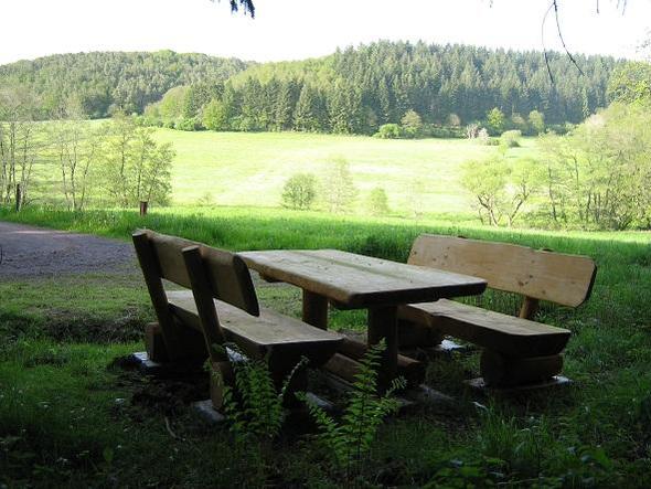 Alfbachtal am 2-Bäche-Pfad - (Deutschland, Ferienhaus, ferienwohnung)