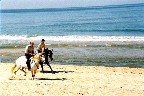 Reiten Sylt - (Deutschland, Sylt, reiten)