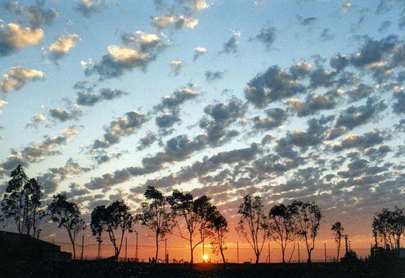 Unterwegs in Australien - (Australien, Auto mieten, Strasse)