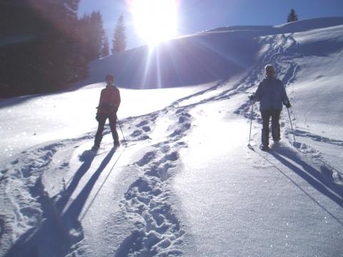Bilduntertitel eingeben... - (Wandern, Wintersport, Schneeschuhwandern)