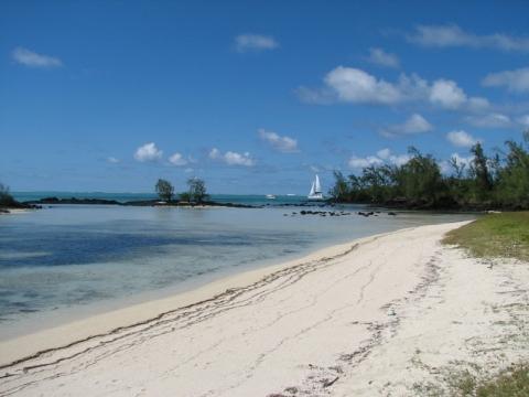 Strandabschnitt an der Ostküste - (Mauritius)