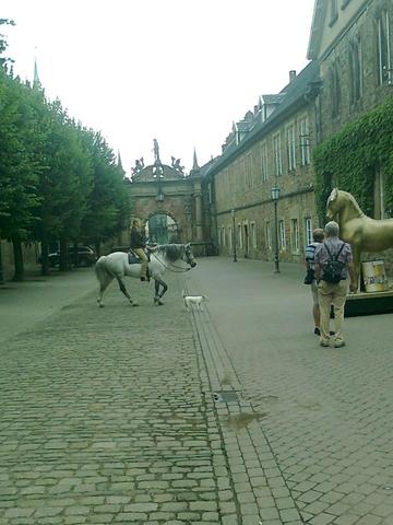 celle - (Deutschland, Städtereise, Stadt)