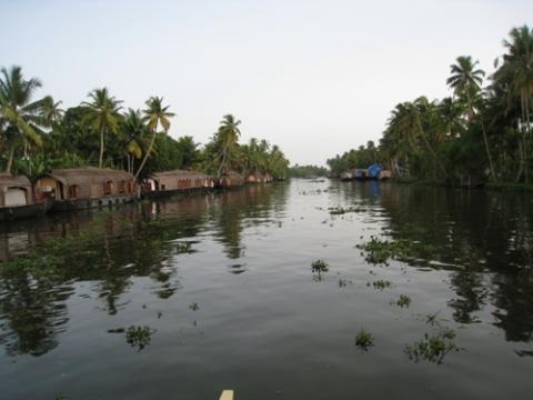 Bilduntertitel eingeben... - (Indien, Kerala, Hausboote)