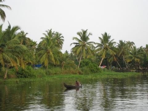 Bilduntertitel eingeben... - (Indien, Kerala, Hausboote)