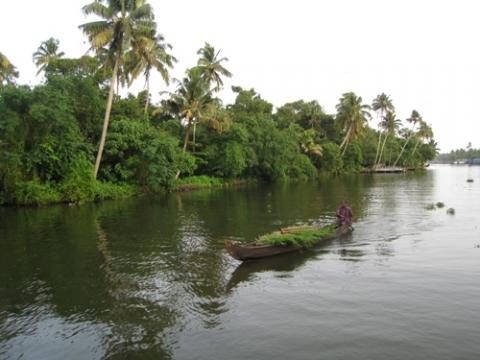 Bilduntertitel eingeben... - (Indien, Kerala, Hausboote)