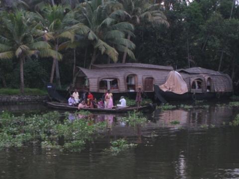 Bilduntertitel eingeben... - (Indien, Kerala, Hausboote)