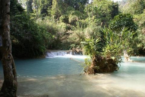 auf dem Weg zum Wasserfall - (Asien, Laos, Rucksackreise)