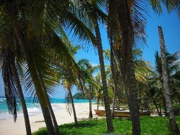 strand in Port antonio - (Unterkunft, Strand, Karibik)